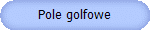 Pole golfowe